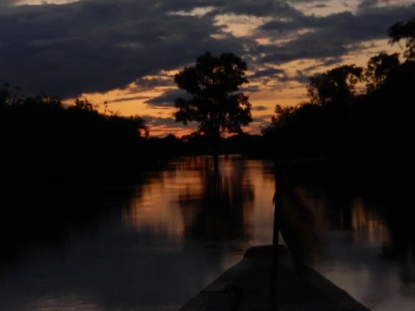 Sunset, the pampas of the Bolivian Amazon